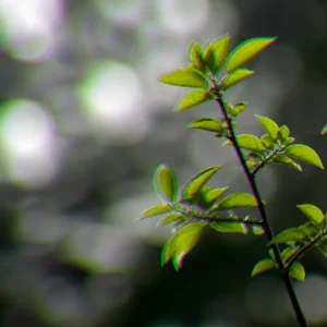 Chromatická Aberace: Proč Se Kolem Hran Objevují Barevné Lemy
